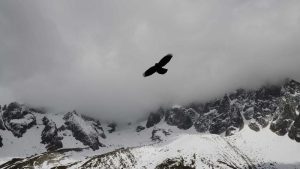 Read more about the article The Architecture of Absence: How Empty Space Defines Contemporary Art