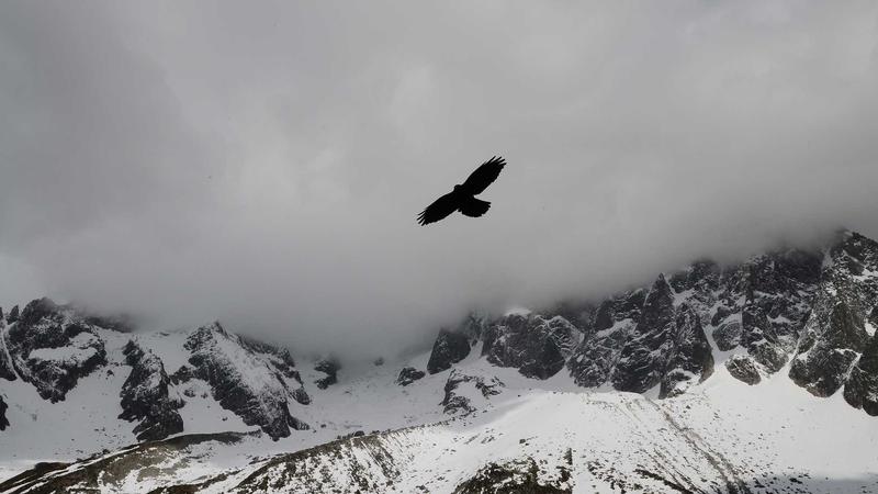 Read more about the article The Architecture of Absence: How Empty Space Defines Contemporary Art